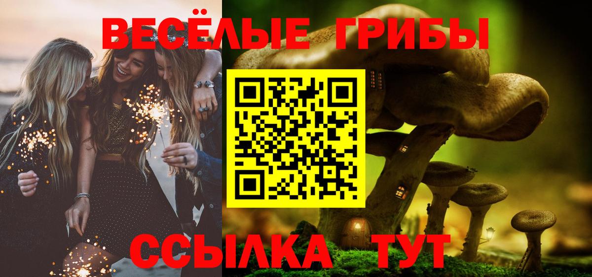 Урюпинск  Галлюциногенные грибы Cubensis  Вход с VPN 
